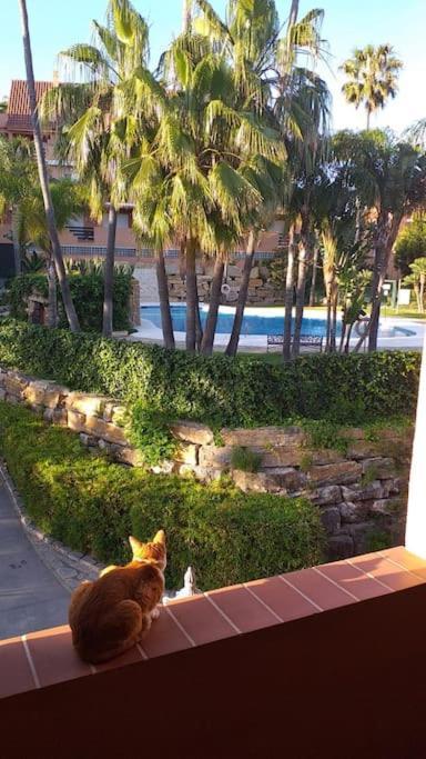 Planta Baja Cerca De La Playa Casares Costa Apartment Ngoại thất bức ảnh